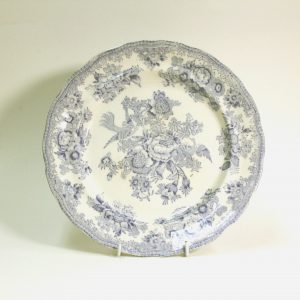 Asiatic Pheasant Ironstone Plate