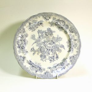 Asiatic-Pheasant-Ironstone-Plate