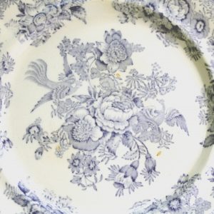 Asiatic Pheasant Ironstone Plate