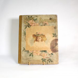 Victorian Children's Book "Birds and Blossoms" - Chromo Lithographs