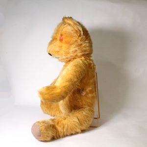 "Verna" Australian Teddy