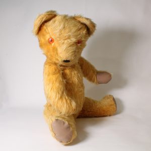 "Verna" Australian Teddy