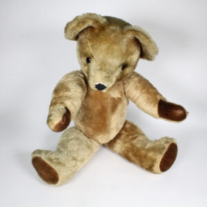 Pedigree Teddy Bear