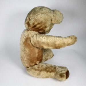Pedigree Teddy Bear
