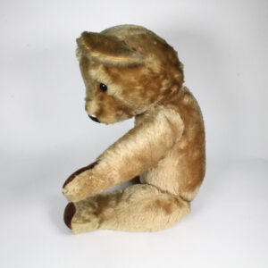 Pedigree Teddy Bear