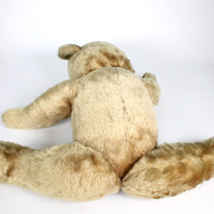 Pedigree Teddy Bear
